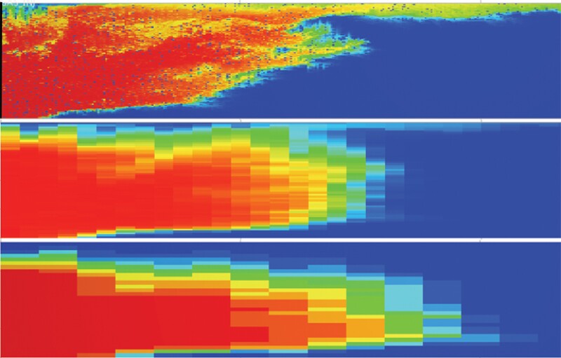 CO2 component mole fraction distribution in the 2D model after ten years of CO2 injection.