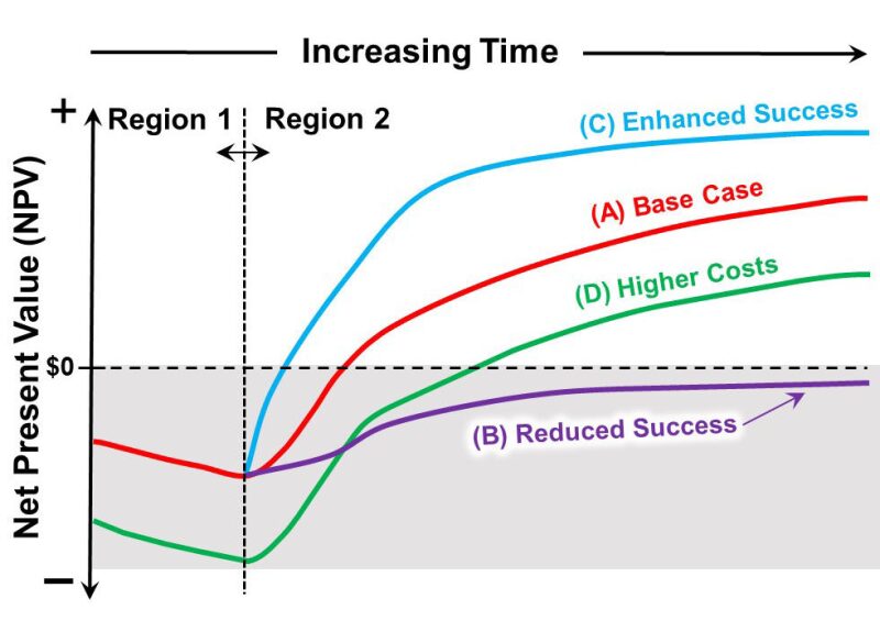 net present value graph