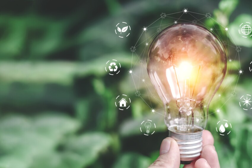 light bulb ideas on a background of blurred green trees Ecological energy efficiency energy efficiency concept