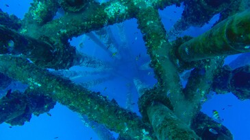 Environmental conditions were collected from routine inspection videos and included pipeline and baseline ecological characteristics.
