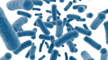ogf-2016-06-pr-bacteriahero.jpg