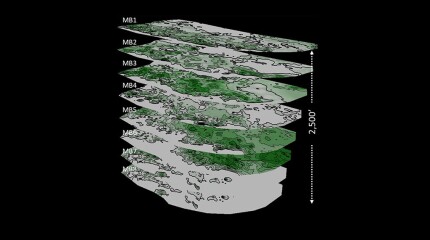 map showing concentrations of oil in green