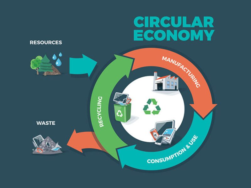 Circular Economy Getting Crude Oil Back Out Of Plastic