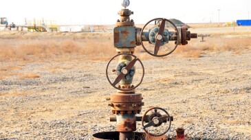 Oil industry: Abandoned wellhead