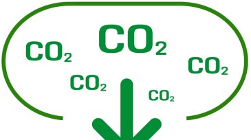carbon neutral