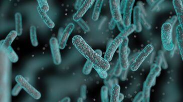 jpt-2017-10-soildna-hero.jpg