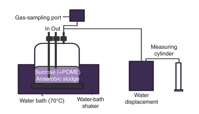 anaerobic conversion