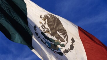 Mexican Flag
