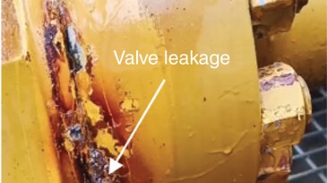 Leakage from the valve of the wellhead.