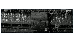 Fig. 1—Example of image detection in action.