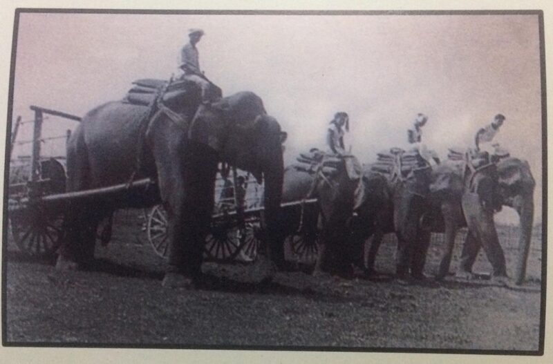 twa-2019-09-best-shot-elephants-seismic-survey-india-oil-history.jpg