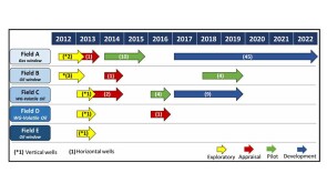 Total Austral timeline for several fields, number of wells completed at different phases of the project