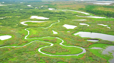 The fragile tundra of the Yamal Peninsula, where Russia’s Novatek is quickly expanding its gas exploration and production portfolio while also enacting programs to mitigate its carbon footprint.