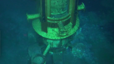 Wellhead-JIP.png