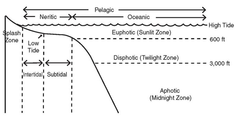 jpt-2014-08-fingerprintingfig1.jpg