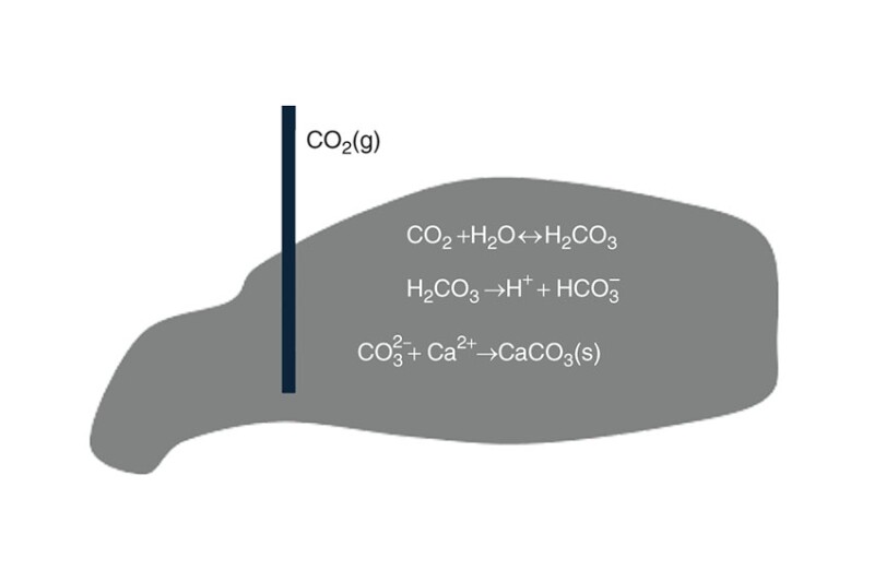 Schematic of chemical reactions resulting in the formation of solid CaCO3 from injected CO2 in a CO2-storage process.