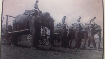 twa-2019-09-best-shot-elephants-seismic-survey-india-oil-history.jpg