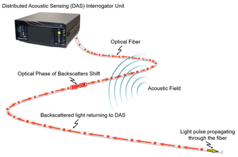 Figure 2.jpg