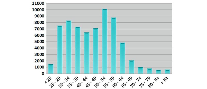 Fig. 4—SPE professional membership demographics in 2013.