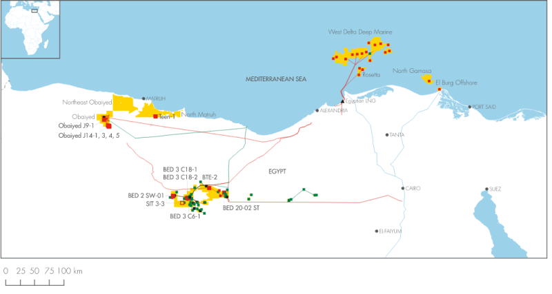 Screenshot 2024-01-31 at 17-12-04 Africa - Shell Investors’ Handbook 2012-2016.png