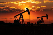 Oil pumps at the horizon.