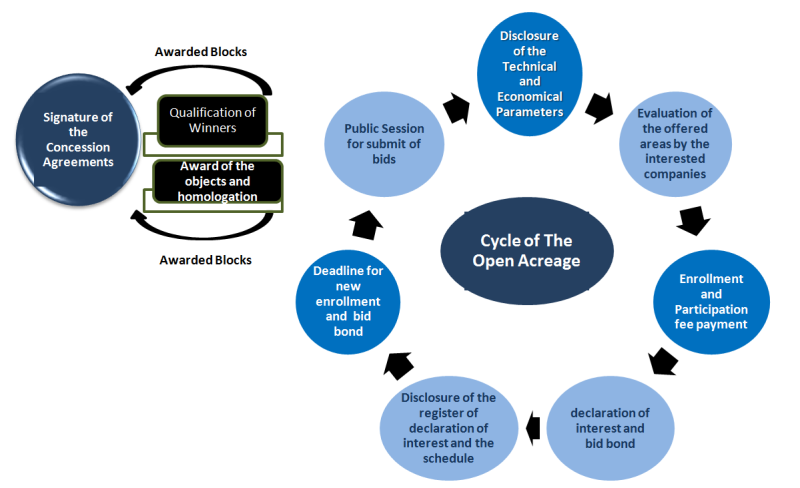 TWA_2022_Brazil_Cycle_of_Open_Acreage_Fig.3.png