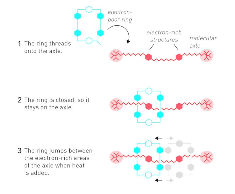 twa-2016-10-chemistrynobel-fig2.jpg