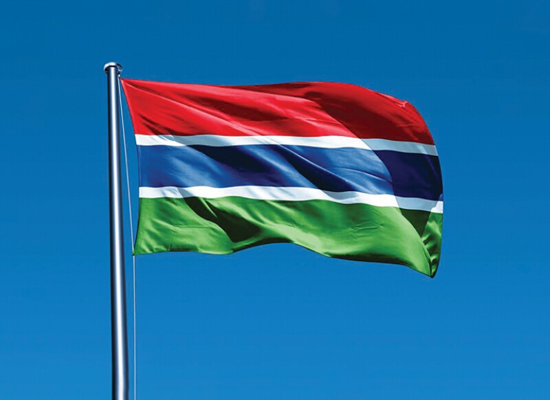 Flag of Gambia