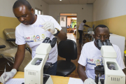 Researches use microscopes to study malaria.