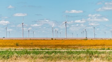 Wind turbine farm generator near Roscoe or Sweetwater Texas in USA in prairie with rows of many machines for energy
