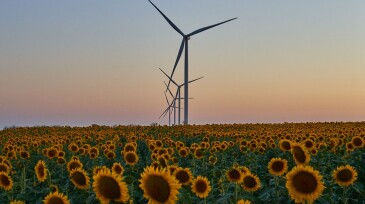 wind generators generate energy in the field