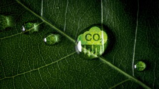 CO2 reducing icon on green leaf with water droplet for decrease CO2 , carbon footprint and carbon credit to limit global warming from climate change, Bio Circular Green Economy concept.