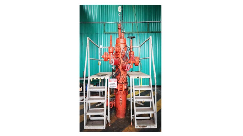 Fig. 1—Onshore training well.