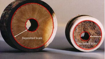 scale-fig1.jpg