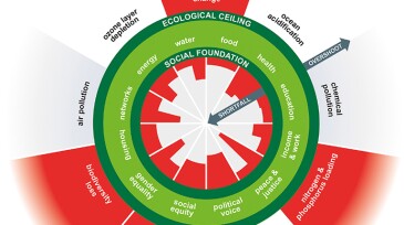 Doughnut economics.