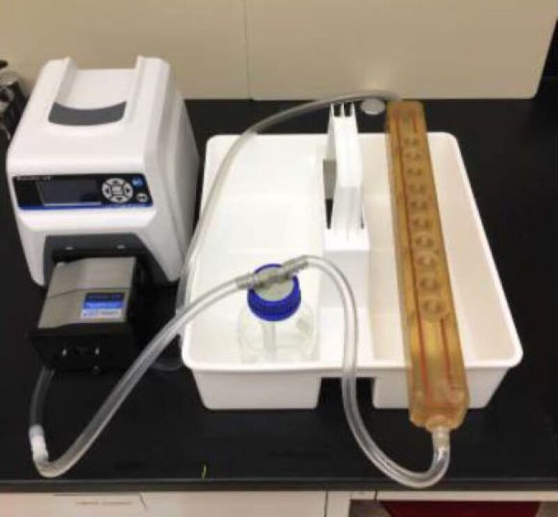 The setup of a single flow circuit of the artificial pipeline model.