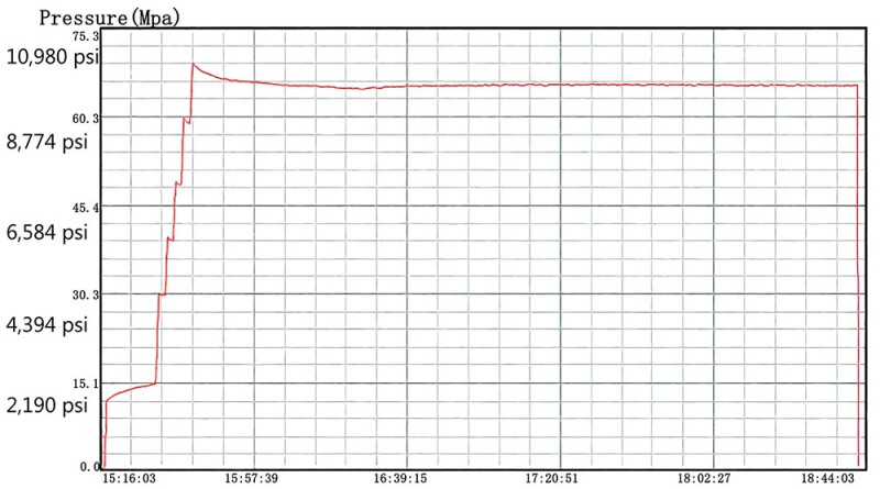 Fig. 3—Pressure-holding curve while exposed to high-temperature, high-pressure environment. Source: Vertechs Group.