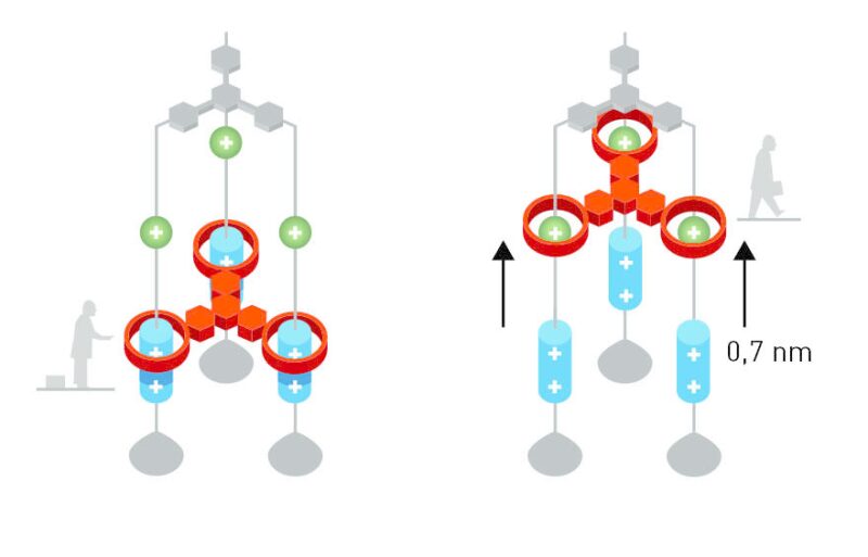 twa-2016-10-chemistrynobel-fig3.jpg