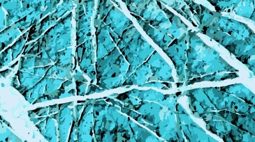 stone rock cracked texture