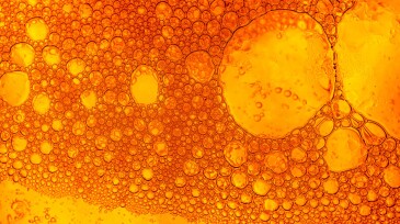 Close up of golden liquid, bubbles