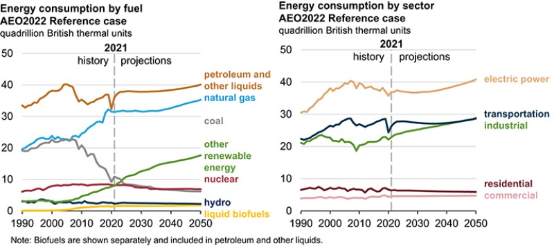 Renewables consumption grows fastest but remains far below petroleum and other liquids consumption in 2050.