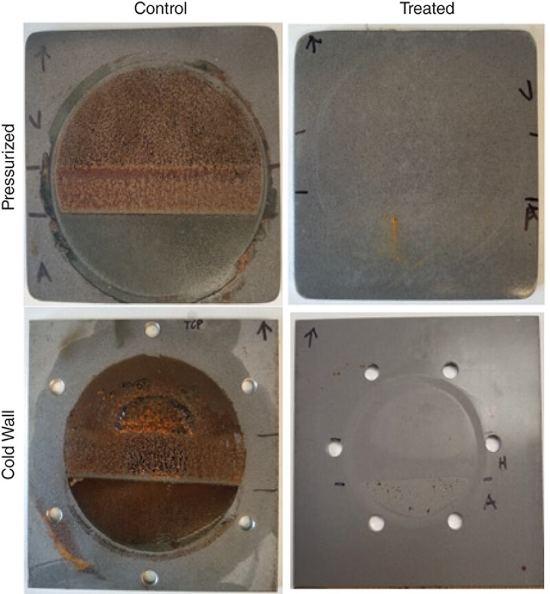 Control and treated coupons after high-pressure (top) and cold-wall (bottom) exposure.