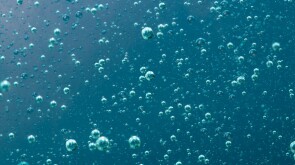 Blue air bubbles rising to the surface