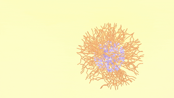 twa-2020-03-polymer-oil-water-gif.gif
