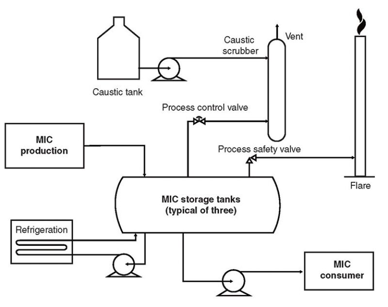 ogf-2014-06-fig3culture.jpg