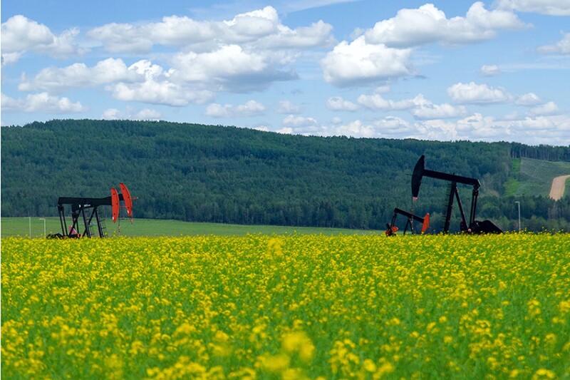 Pumpjacks on the canola field near green hills and blue sky.