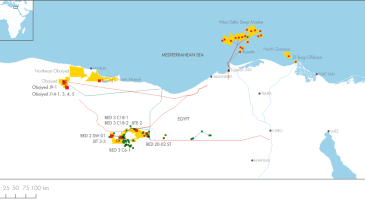 Screenshot 2024-01-31 at 17-12-04 Africa - Shell Investors’ Handbook 2012-2016.png