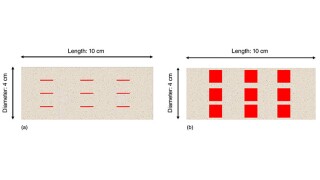 Fig. 1—Diagram of the core sample with complex media development. (a) Fracture network, (b) vug network.