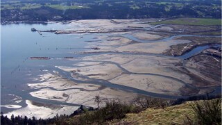 Traditional oil extraction methods