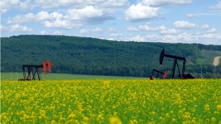 Pumpjacks on the canola field near green hills and blue sky.